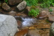 niigata2 (69)