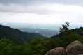 niigata2 (62)