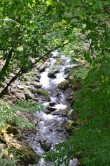 20110604mitou (54)