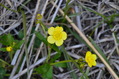 20130503 (18)