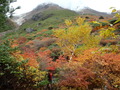 2011nasu (27)
