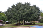 20120816usa (248)