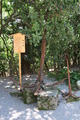 iwama (3)