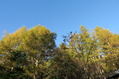201610八 (97)