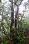 niigata2 (39)