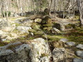P4280036_376