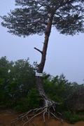 niigata2 (26)