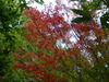 20121027_28 (62)