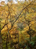 2011nasu (35)