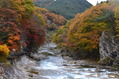 121110_11yubiso (319)