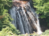 P7290166