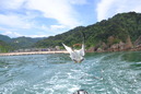 niigata3 (103)