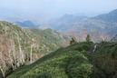 IMG_1977