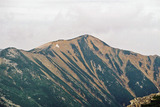 FH000031