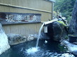 hodaka (210)