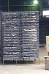 PB250787