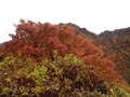 2011nasu (6)