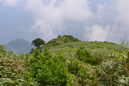 iide5 (98)