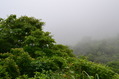 niigata2 (28)