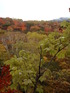 2011nasu (41)