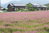 20160502 (44)