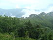 P8110081