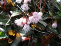 20130503 (86)