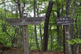 20110604mitou (20)