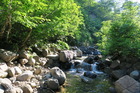yakeishi (15)