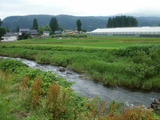 chokai2 (8)