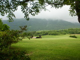 nanasigure051