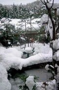 200401_10053 (2)