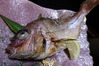 P5030553