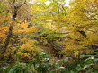 2011nasu (39)