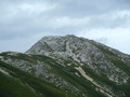 noguch (70)