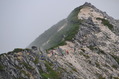 noguch (117)