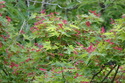 P5030534