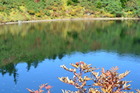 20111009 (46)