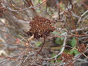 PA140040