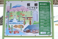 1301tsugaru (307)