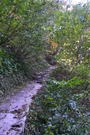 1210123_14 (16)