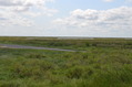 2012usa (422)