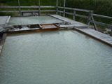 hukenoyu (45)