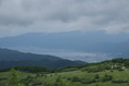 nyuugasa (125)