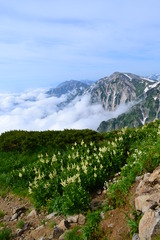 hakuba2 (22)
