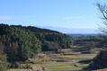 kumamoto (383)