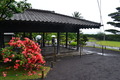 20150503B (74)