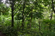 niigata2 (54)