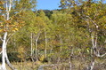 20111009 (83)
