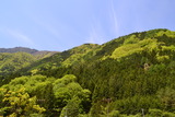 1105早川 (45)